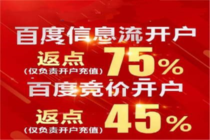 百度广告推广实战案例解析